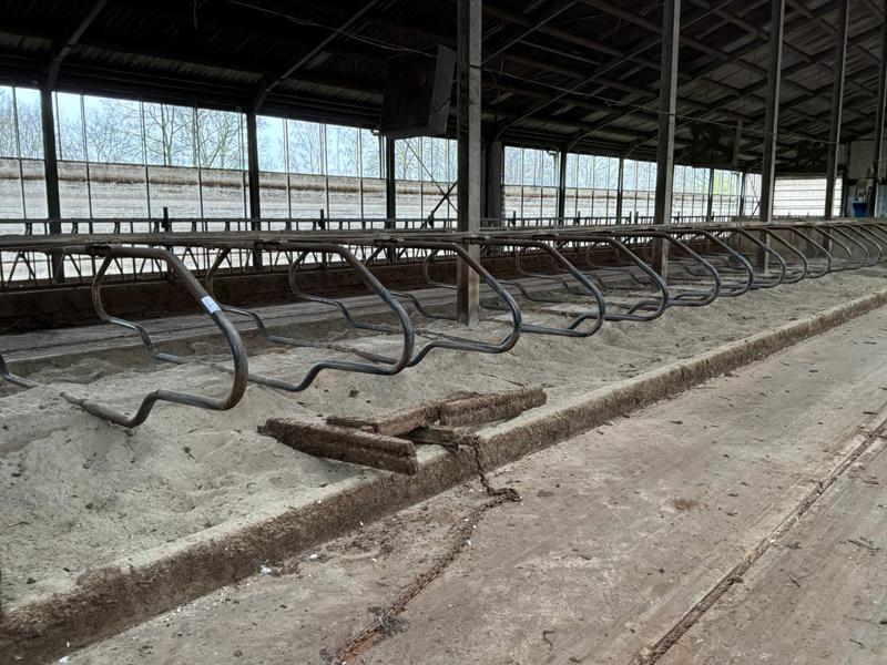 Ligboxen, Dieren en Toebehoren, Stalling en Weidegang