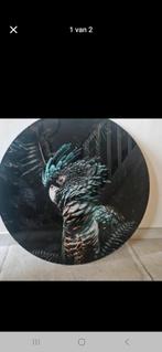 Wandcirkel Plexiglas Kaketoe 60x60 cm, Ophalen of Verzenden, Zo goed als nieuw