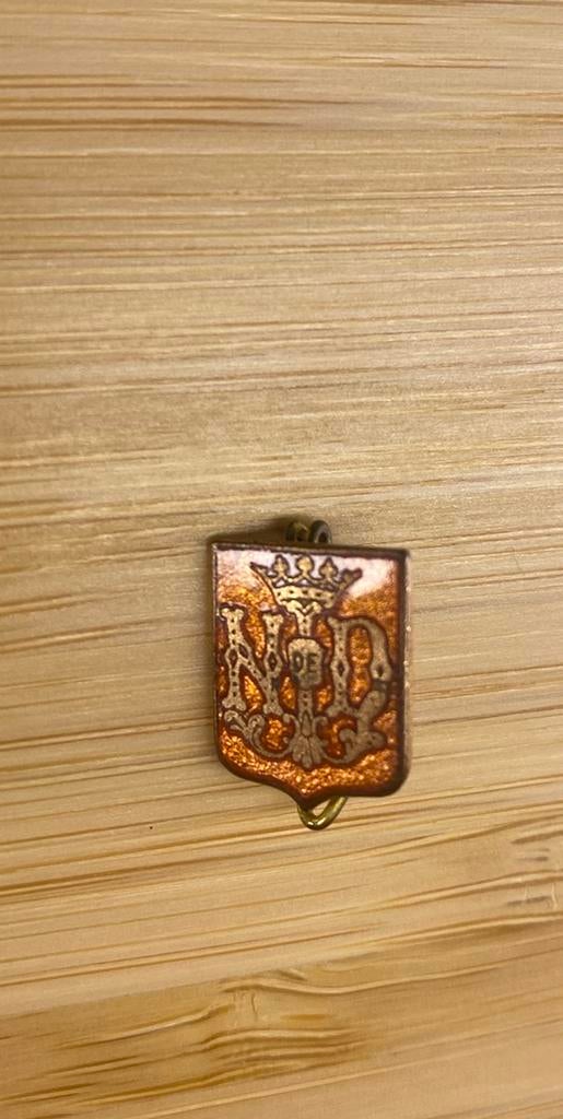Emaille Insigne/Broche - Notre Dame de Lourdes, Ophalen of Verzenden, Gebruikt, Overige onderwerpen, Speldje of Pin