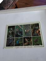 VOGELS VAN DE VELUWE, Ophalen of Verzenden