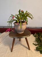 Plantentafeltje,fifties,sixties,Rockabilly, vintage, Huis en Inrichting, Ophalen of Verzenden, Gebruikt