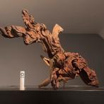 Enorm stuk Kienhout / Driftwood / Spiderwood, Hout Decoratie, Ophalen of Verzenden, Zo goed als nieuw, Tak, Plant, Rots of Steen