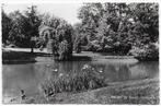 Bergen op Zoom Stadspark Oude Ongelopen Ansichtkaart ( B6526, Ophalen of Verzenden, 1940 tot 1960, Ongelopen, Noord-Brabant