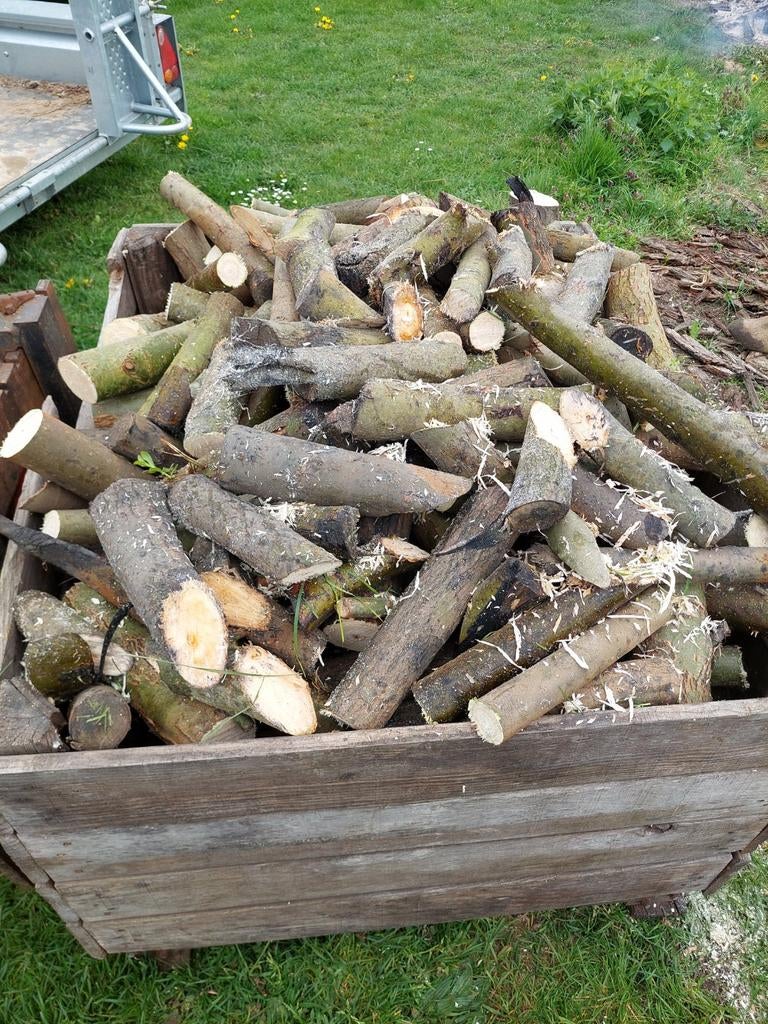 Vers gezaagd brandhout - Diverse houtsoorten, Tuin en Terras, Haardhout, Minder dan 3 m³, Ophalen, Overige houtsoorten, Blokken