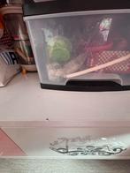 Prinsessen Slaapkamer Meubels - Roze MDF Melamine Set, Kinderen en Baby's, Kinderkamer | Complete kinderkamers, Ophalen of Verzenden