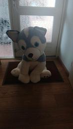 Grote husky knuffel hond, Ophalen of Verzenden, Hond