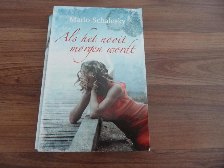 Als het nooit morgen wordt- Marlo Schalesky, Boeken, Romans, Gelezen, Ophalen of Verzenden