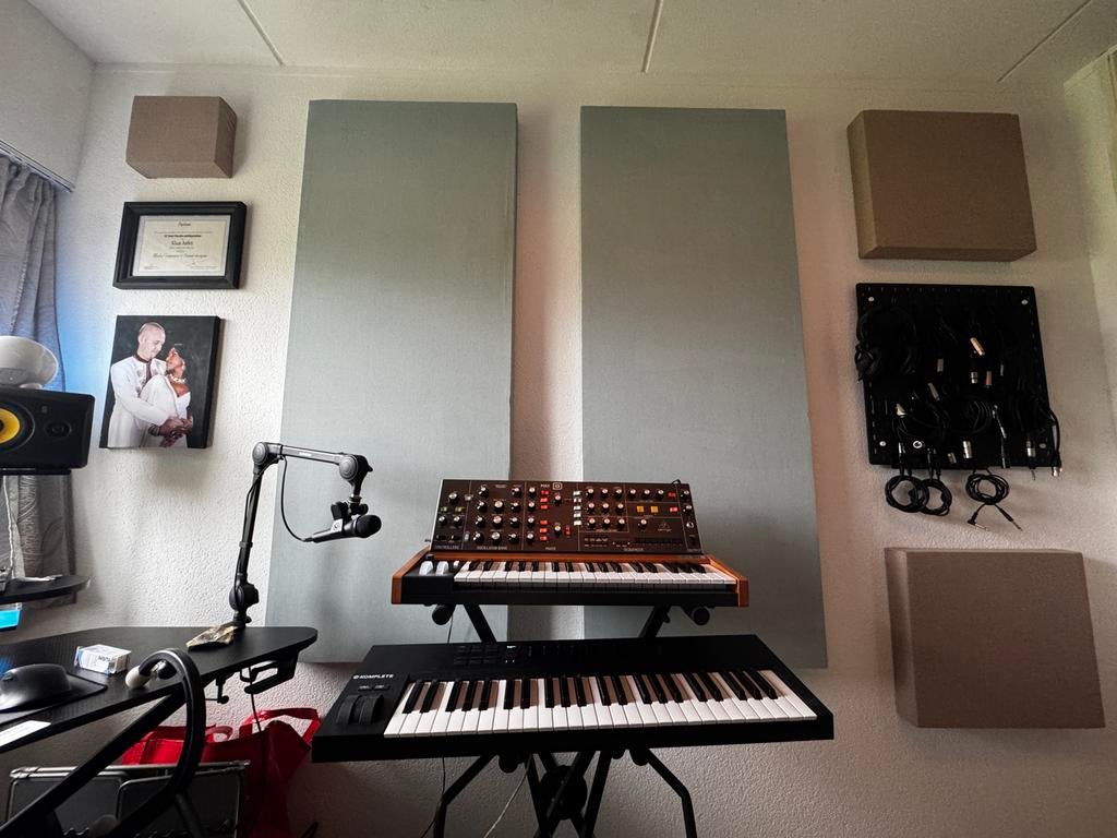19 Akoestische Panelen voor Muziekstudio - Topkwaliteit, Ophalen, Gebruikt