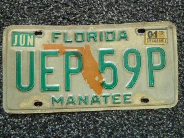 Kentekenplaat licenseplate Florida Manatee USA, Verzenden, Gebruikt, Auto's