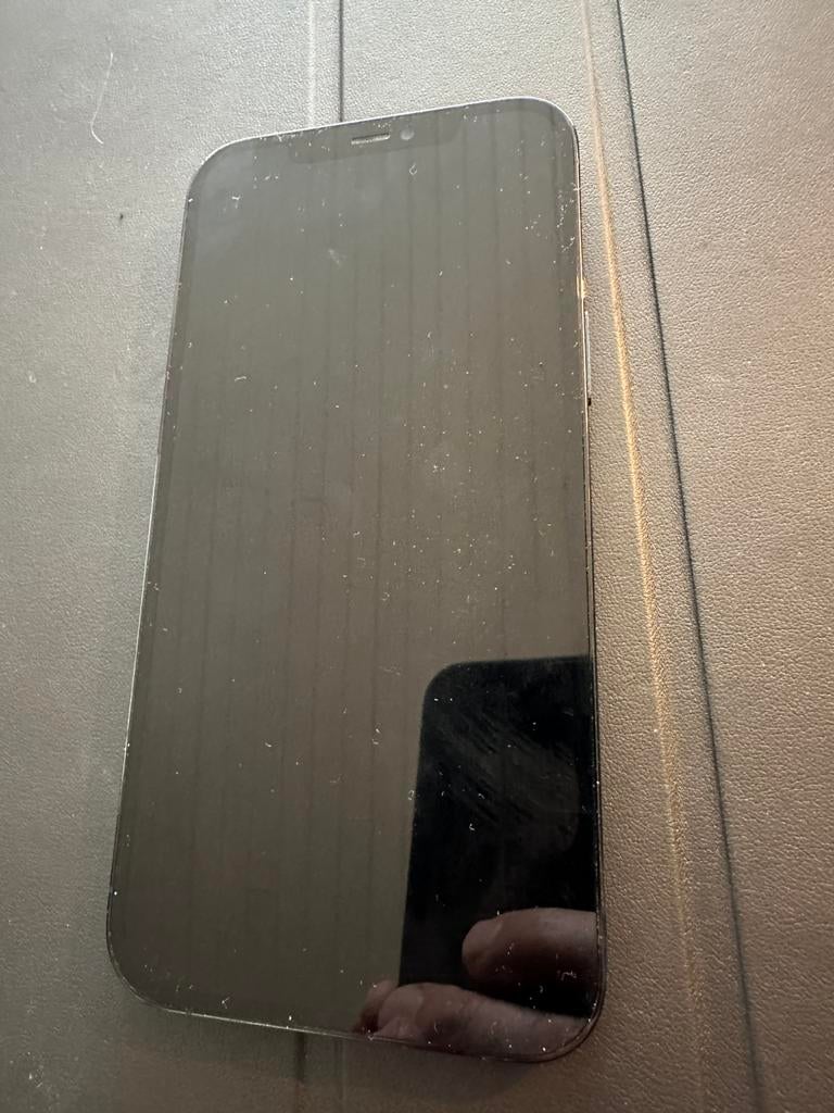 Iphone 12 pro max (zonder face-id), 256 GB, Gebruikt, Blauw, Zonder simlock