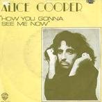 Alice Cooper 2 single hoezen, Verzenden, Zo goed als nieuw, Nederlandstalig