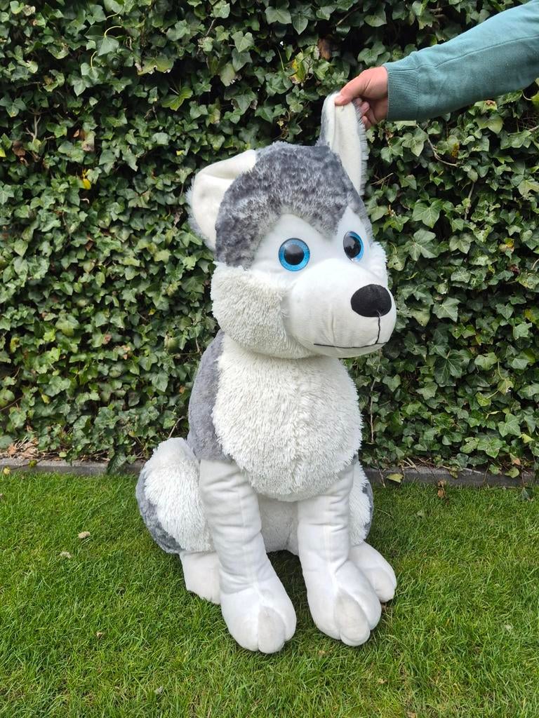 Grote knuffel hond, Ophalen, Nieuw, Overige materialen, Overige typen