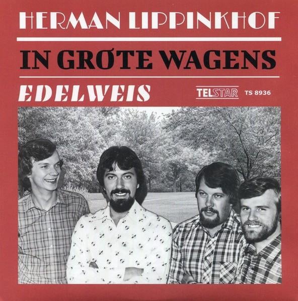 Nieuwpersing vinylsingle herman lippinkhof gezocht, Ophalen of Verzenden, Zo goed als nieuw, Overige formaten, Levenslied of Smartlap