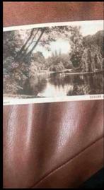 Ansichtkaart Volkspark Bergen op Zoom, ongelopen, Ophalen of Verzenden, Voor 1920, Ongelopen, Noord-Holland