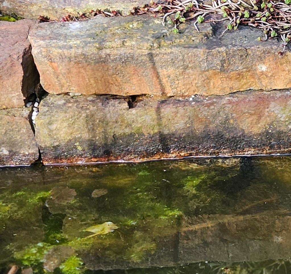 Natuursteen, stapelbaar, Ophalen of Verzenden