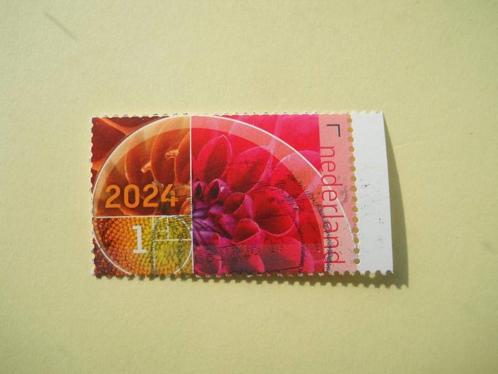 Nederland 2024 Bloemen met velrand gestempeld, Postzegels en Munten, Postzegels | Nederland, Gestempeld, Na 1940, Ophalen of Verzenden