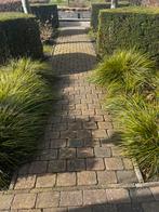 Klinkers terra mix 160m2, Tuin en Terras, Tegels en Klinkers, Ophalen, Gebruikt, Klinkers, 10 m² of meer