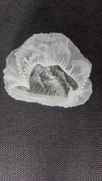 Wegwerp haarnetjes, Ophalen of Verzenden, Nieuw