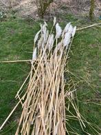 Sierpluim, Ophalen, Zo goed als nieuw