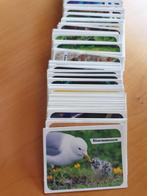 WWF Dierenwereld 2008, Verzamelen, Ophalen of Verzenden, Nieuw, Dier en Natuur