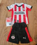 PSV nieuwste thuissetje kindersetje, Maat XS of kleiner, Ophalen of Verzenden, Nieuw, Shirt