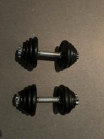 Dumbbells halter en wat gewichten gietijzer, Sport en Fitness, Fitnessmaterialen, Ophalen, Gebruikt, Halterset