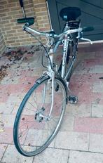 Gazelle - Klassieke, Ophalen