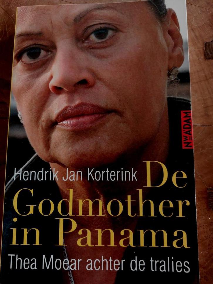 H.J. Korterink - Godmother in Panama, Boeken, Thrillers, Gelezen, Nederland, Ophalen of Verzenden
