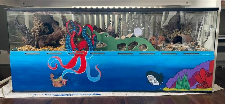 Terarrium kleine knaagdieren, Dieren en Toebehoren, Knaagdieren en Konijnen | Hokken en Kooien, Zo goed als nieuw, Overige typen