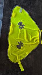 Fluorescerende hondenjas, Dieren en Toebehoren, Ophalen of Verzenden, Nieuw, Hondenjas
