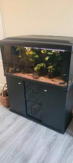 Aquarium Cayman 110 inc. Toebehoren evt vissen en planten, Ophalen, Gevuld zoetwateraquarium