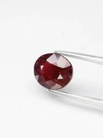 Ruby 1,56 ct ALGT- en GLC-certificaten edelsteen, Ophalen of Verzenden, Nieuw