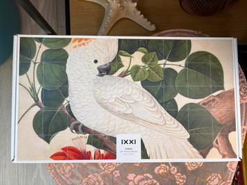 IXXI kaketoe 140 bij 120 beschikbaar voor biedingen