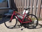 Koga Colmaro maat L, Ophalen, 28 inch, Zo goed als nieuw, Koga Miyata