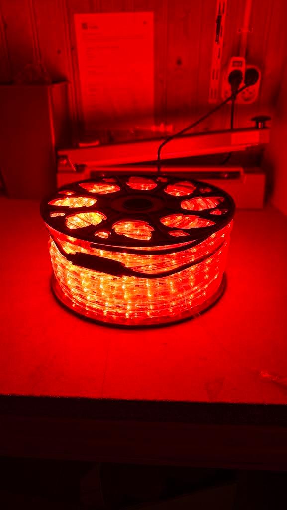 2x Rol lichtslang 45 meter - kleur rood - LED, Tuin en Terras, Buitenverlichting, Nieuw, Kunststof, Minder dan 50 watt, Netvoeding