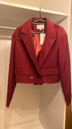 Azzurro set bordeaux, Ophalen of Verzenden, Zo goed als nieuw, Maat 38/40 (M), Rood