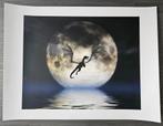 Art Print Dragon Moon Julie Fain, Gebruikt, 50 tot 75 cm, Ophalen of Verzenden, 75 tot 100 cm