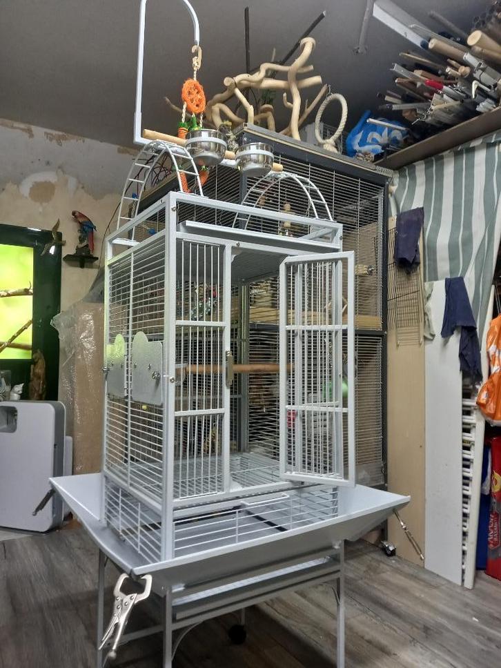 4x Pyrrhura vogel kooi, Dieren en Toebehoren, Vogels | Hokken en Kooien, Zo goed als nieuw, Vogelkooi, Metaal, Ophalen