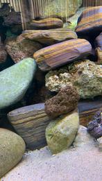Stenen, lava steen,zand, filter materiaal en 3D achtergrond, Dieren en Toebehoren, Vissen | Aquaria en Toebehoren, Plant(en), Steen of Hout