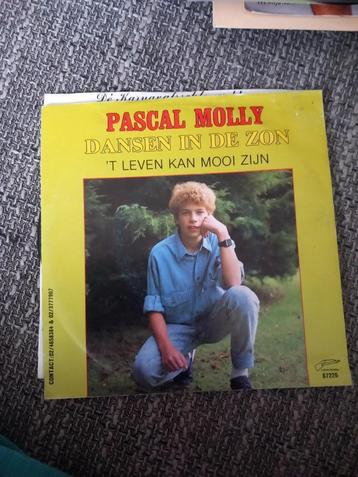 pascal molly dansen in de zon beschikbaar voor biedingen