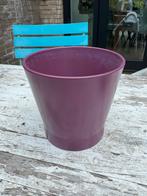 Paarse pot - 16x15cm, Ophalen, Gebruikt, Rond, Binnen