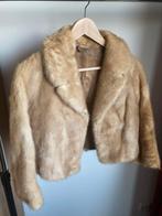 Lichtbruine korte bontjas, Kleding | Dames, Ophalen of Verzenden, Gedragen, Bruin, Jasje