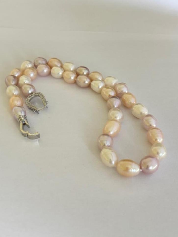 Prachtige Parel Ketting, Multikleur, Echte Parels, Sieraden, Tassen en Uiterlijk, Kettingen, Nieuw, Goud, Ophalen of Verzenden