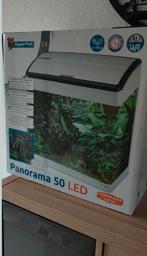 Aquarium met 2 sluierstaarten, Ophalen, Zo goed als nieuw, Leeg aquarium