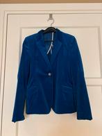 Fluwelen colbert, Kleding | Dames, Blauw, Maat 42/44 (L), Ophalen of Verzenden, Jasje