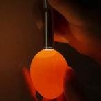 Schouwlamp, Ophalen of Verzenden, Broedmachine