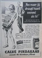 knipsel  CALVE PINDAKAAS 1953, Verzamelen, Ophalen of Verzenden, 1940 tot 1960, Nederland, Knipsel(s)