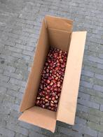 Verse tamme kastanjes 8 kilo, Ophalen of Verzenden