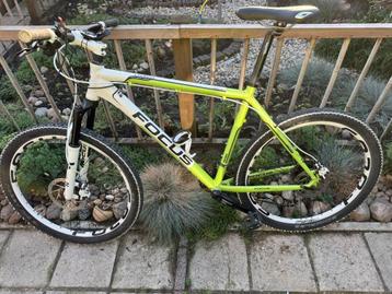 focus cypress beschikbaar voor biedingen