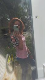 Met spoed woonruimte gezocht, Huizen en Kamers, Leeuwarden